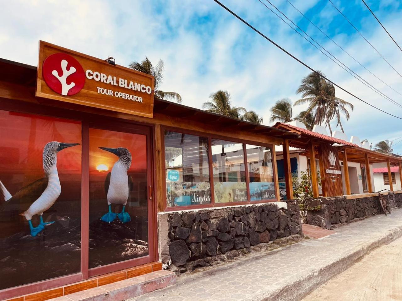 Hotel Coral Blanco With High Speed Internet Starlink And Galapagos Tour Operator Puerto Villamil Exteriér fotografie